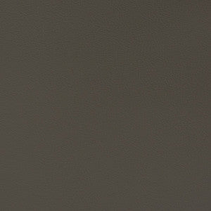 V339 Flint by Charlotte Designer Fabric