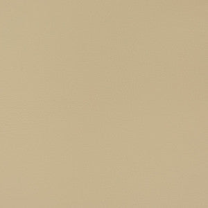 V340 Neutral by Charlotte Designer Fabric