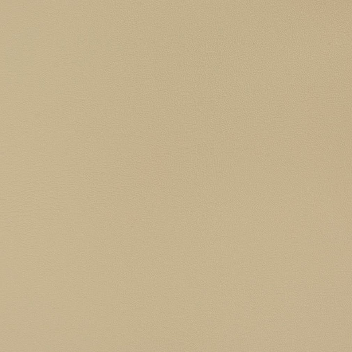 V340 Neutral by Charlotte Designer Fabric Automotive Vinyl 100% Virgin Vinyl, 30oz. Asia Exceeds 220,000 Wyzenbeek Rubs (Heavy Duty) No Repeat 54 Inches - Swanky Fabrics -
