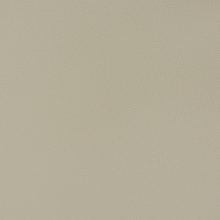V341 Chrome by Charlotte Designer Fabric Automotive Vinyl 100% Virgin Vinyl, 30oz. Asia Exceeds 220,000 Wyzenbeek Rubs (Heavy Duty) No Repeat 54 Inches - Swanky Fabrics -