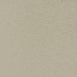 V341 Chrome by Charlotte Designer Fabric