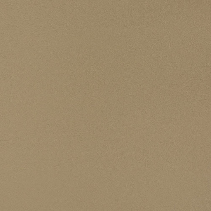 V344 Cappuccino by Charlotte Designer Fabric Automotive Vinyl 100% Vinyl, 30oz. Asia Exceeds 220,000 Wyzenbeek Rubs (Heavy Duty) </p><p>Repeat: 54 Inches - Swanky Fabrics -