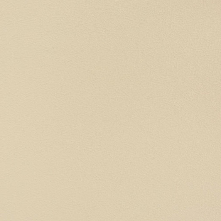 V346 Sand Dollar by Charlotte Designer Fabric Automotive Vinyl 100% Vinyl, 30oz. Asia Exceeds 220,000 Wyzenbeek Rubs (Heavy Duty) </p><p>Repeat: 54 Inches - Swanky Fabrics -