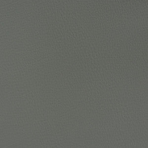 V362 Graphite by Charlotte Designer Fabric