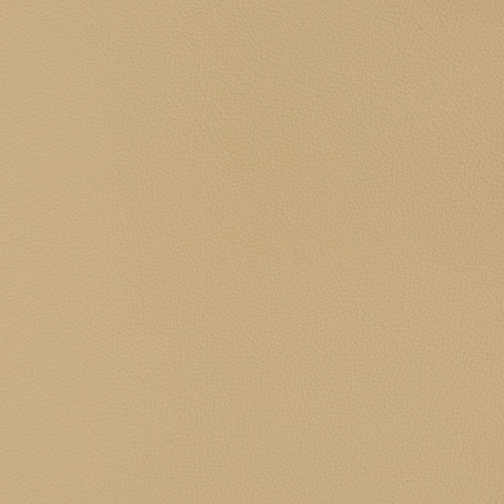 V363 Cashmere by Charlotte Designer Fabric Automotive Vinyl 100% Vinyl, 30oz. Asia Exceeds 220,000 Wyzenbeek Rubs (Heavy Duty) </p><p>Repeat: 54 Inches - Swanky Fabrics -