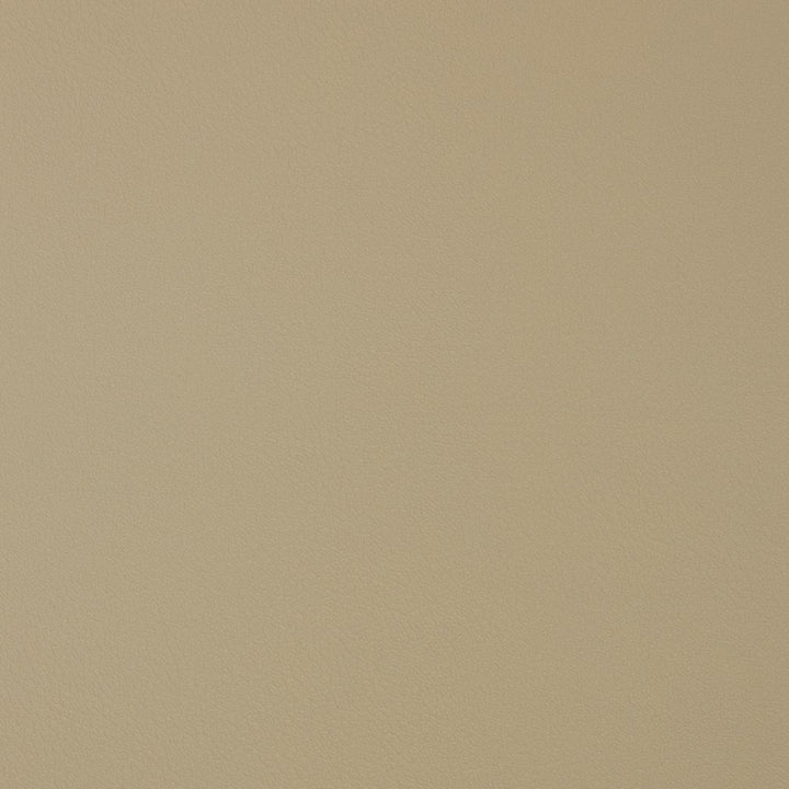 V372 Bisque by Charlotte Designer Fabric Automotive Vinyl 100% Vinyl, 30oz. Asia Exceeds 220,000 Wyzenbeek Rubs (Heavy Duty) </p><p>Repeat: 54 Inches - Swanky Fabrics -