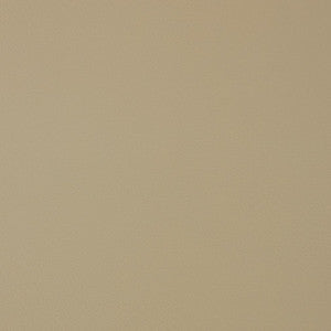 V372 Bisque by Charlotte Designer Fabric