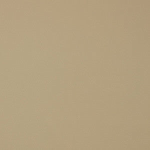 V389 Natural by Charlotte Designer Fabric