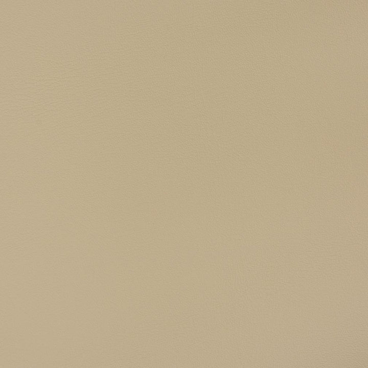 V393 Taupe by Charlotte Designer Fabric Automotive Vinyl 100% Vinyl, 30oz. Asia Exceeds 220,000 Wyzenbeek Rubs (Heavy Duty) </p><p>Repeat: 54 Inches - Swanky Fabrics -