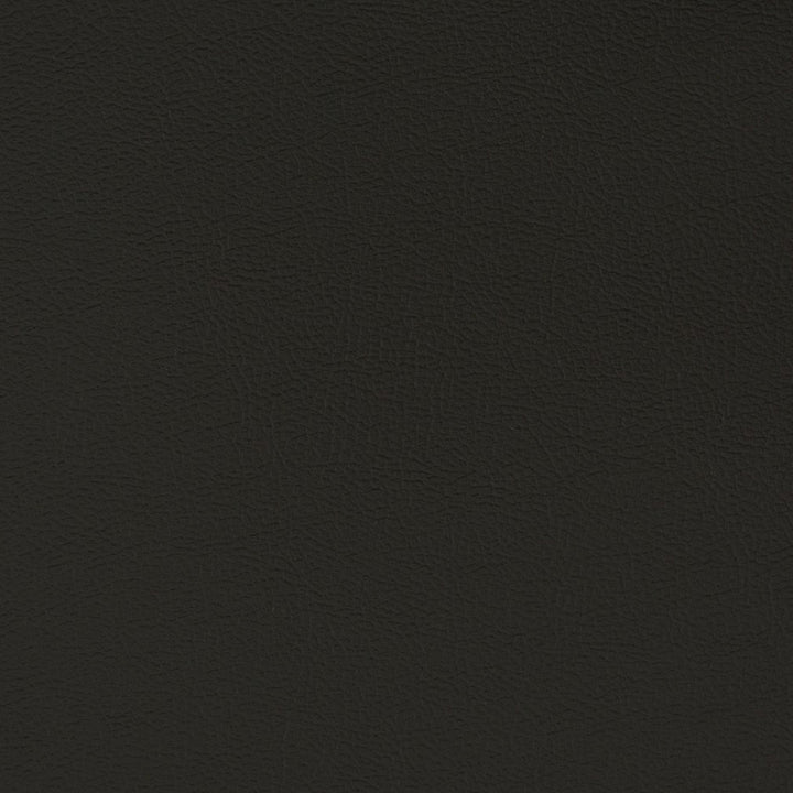 V395 Ebony by Charlotte Designer Fabric Automotive Vinyl 100% Vinyl, 30oz. Asia Exceeds 220,000 Wyzenbeek Rubs (Heavy Duty) </p><p>Repeat: 54 Inches - Swanky Fabrics -