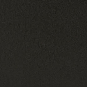 V395 Ebony by Charlotte Designer Fabric