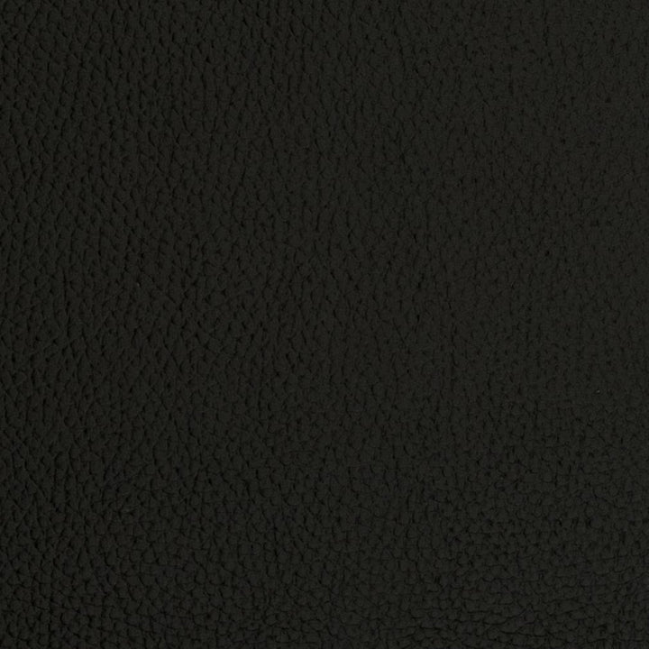 V423 Onyx by Charlotte Designer Fabric Marine Vinyl 100% Virgin Vinyl, 33oz. Asia Exceeds 220,000 Wyzenbeek Rubs (Heavy Duty) No Repeat 54 Inches - Swanky Fabrics -