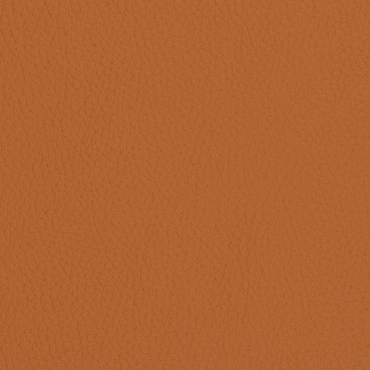 V427 Burnt Sienna by Charlotte Designer Fabric Marine Vinyl 100% Virgin Vinyl, 33oz. Asia Exceeds 220,000 Wyzenbeek Rubs (Heavy Duty) No Repeat 54 Inches - Swanky Fabrics -