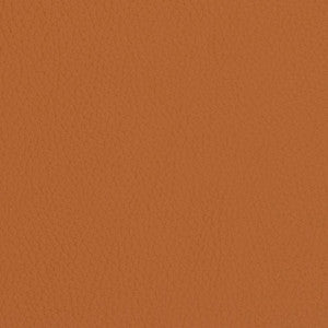 V427 Burnt Sienna by Charlotte Designer Fabric