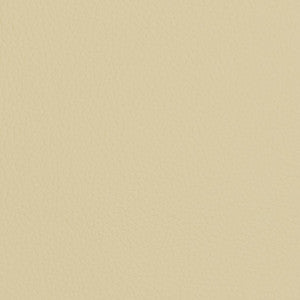 V428 Ivory by Charlotte Designer Fabric