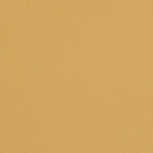 V429 Sand Dollar by Charlotte Designer Fabric