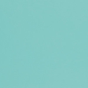 V431 Aqua by Charlotte Designer Fabric