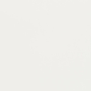 V432 Pearl by Charlotte Designer Fabric