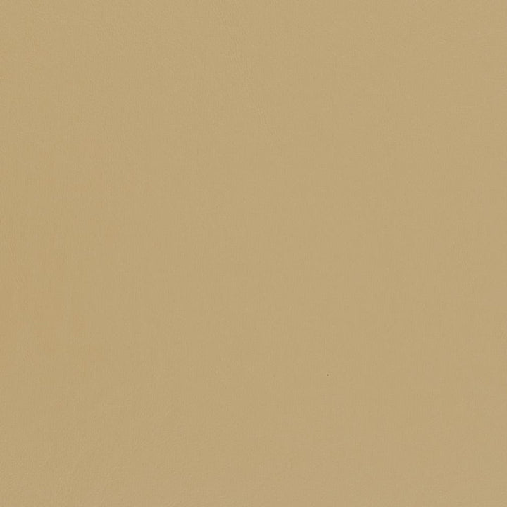 V440 Sand by Charlotte Designer Fabric Marine Vinyl 100% Virgin Vinyl, 33oz. Asia Exceeds 220,000 Wyzenbeek Rubs (Heavy Duty) No Repeat 54 Inches - Swanky Fabrics -
