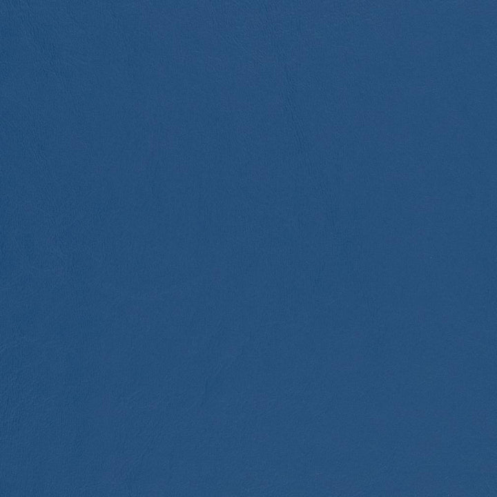 V441 Pacific by Charlotte Designer Fabric Marine Vinyl 100% Virgin Vinyl, 33oz. Asia Exceeds 220,000 Wyzenbeek Rubs (Heavy Duty) No Repeat 54 Inches - Swanky Fabrics -