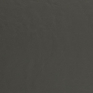 V443 Graphite by Charlotte Designer Fabric