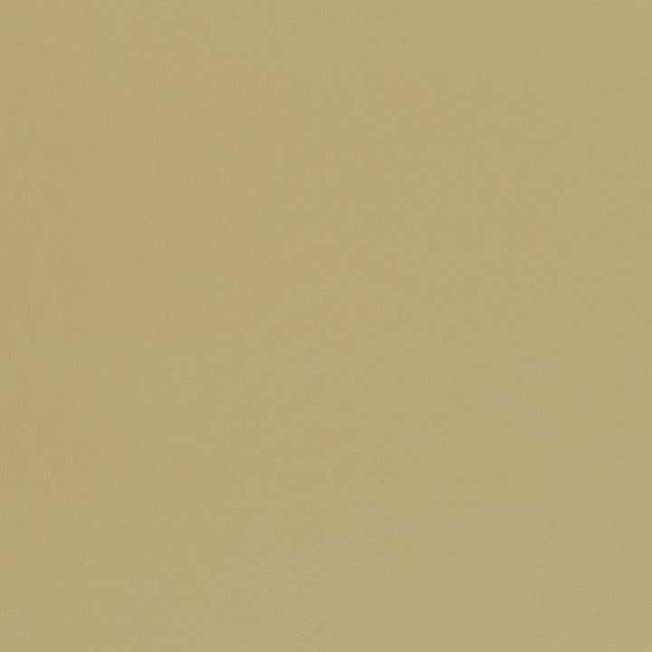 V444 Beach by Charlotte Designer Fabric Marine Vinyl 100% Virgin Vinyl, 33oz. Asia Exceeds 220,000 Wyzenbeek Rubs (Heavy Duty) No Repeat 54 Inches - Swanky Fabrics -