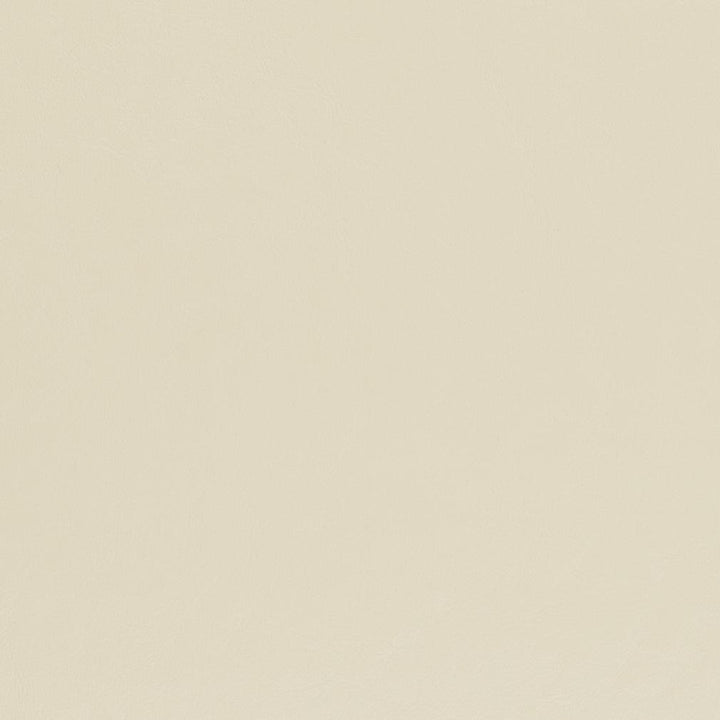 V446 Chalk by Charlotte Designer Fabric Marine Vinyl 100% Virgin Vinyl, 33oz. Asia Exceeds 220,000 Wyzenbeek Rubs (Heavy Duty) No Repeat 54 Inches - Swanky Fabrics -