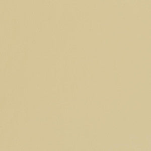 V448 Buff by Charlotte Designer Fabric