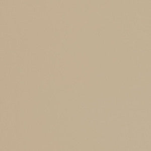 V451 Sandstone by Charlotte Designer Fabric