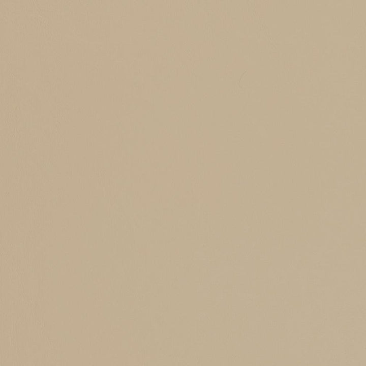 V451 Sandstone by Charlotte Designer Fabric Marine Vinyl 100% Virgin Vinyl, 33oz. Asia Exceeds 220,000 Wyzenbeek Rubs (Heavy Duty) No Repeat 54 Inches - Swanky Fabrics -