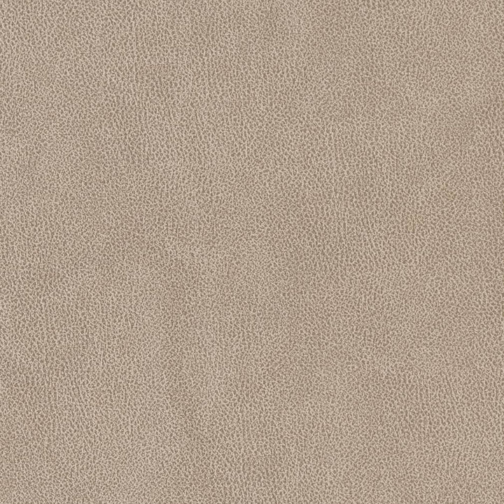 V500 Sandstone by Charlotte Designer Fabric Breathables IV 100% Breathable Polyurethane, 26oz. Asia Exceeds 2,000,000 Wyzenbeek Double Rubs (Heavy Duty) </p><p>Repeat: 54 Inches - Swanky Fabrics -