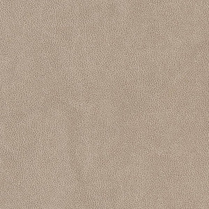 V500 Sandstone by Charlotte Designer Fabric
