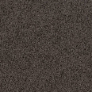 V501 Charcoal by Charlotte Designer Fabric