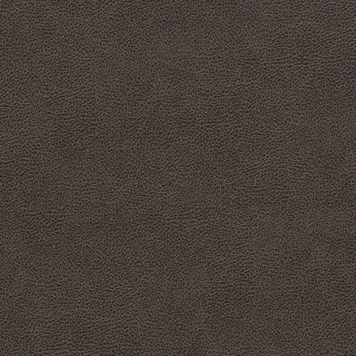 V501 Charcoal by Charlotte Designer Fabric Breathables IV 100% Breathable Polyurethane, 26oz. China Exceeds 250,000 Wyzenbeek Rubs (Heavy Duty) No Repeat 54 Inches - Swanky Fabrics -