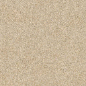 V502 Sand Dollar by Charlotte Designer Fabric