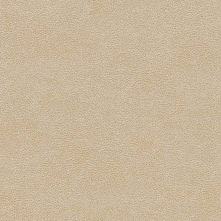 V502 Sand Dollar by Charlotte Designer Fabric Breathables IV 100% Breathable Polyurethane, 26oz. Asia Exceeds 2,000,000 Wyzenbeek Double Rubs (Heavy Duty) </p><p>Repeat: 54 Inches - Swanky Fabrics -