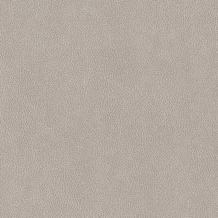 V503 Platinum by Charlotte Designer Fabric Breathables IV 100% Breathable Polyurethane, 26oz. China Exceeds 250,000 Wyzenbeek Rubs (Heavy Duty) No Repeat 54 Inches - Swanky Fabrics -