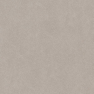 V503 Platinum by Charlotte Designer Fabric