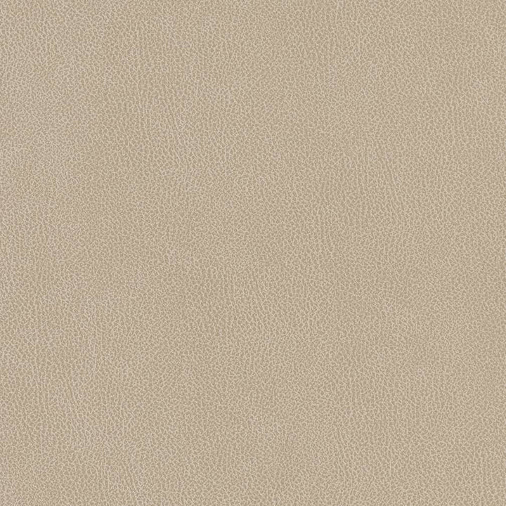 V506 Linen by Charlotte Designer Fabric Breathables IV 100% Breathable Polyurethane, 26oz. Asia Exceeds 2,000,000 Wyzenbeek Double Rubs (Heavy Duty) </p><p>Repeat: 54 Inches - Swanky Fabrics -