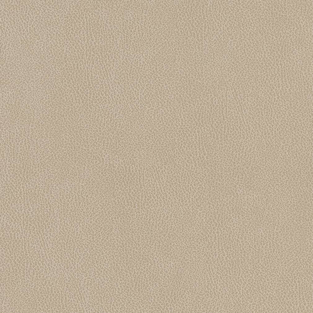 V506 Linen by Charlotte Designer Fabric Breathables IV 100% Breathable Polyurethane, 26oz. China Exceeds 250,000 Wyzenbeek Rubs (Heavy Duty) No Repeat 54 Inches - Swanky Fabrics -
