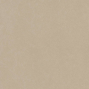 V506 Linen by Charlotte Designer Fabric