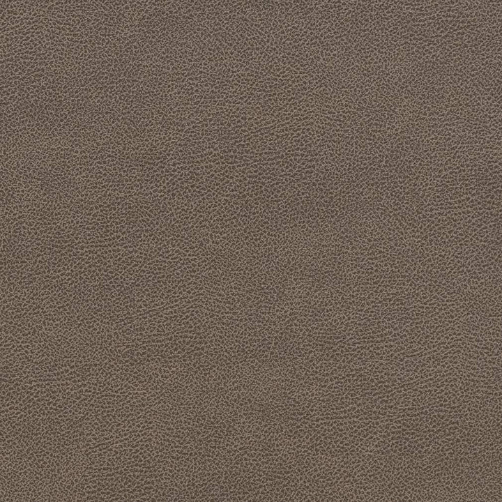 V507 Ash by Charlotte Designer Fabric Breathables IV 100% Breathable Polyurethane, 26oz. China Exceeds 250,000 Wyzenbeek Rubs (Heavy Duty) No Repeat 54 Inches - Swanky Fabrics -