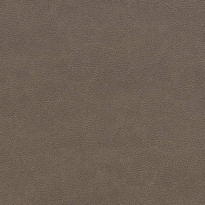 V507 Ash by Charlotte Designer Fabric
