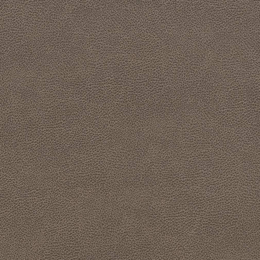 V507 Ash by Charlotte Designer Fabric Breathables IV 100% Breathable Polyurethane, 26oz. Asia Exceeds 2,000,000 Wyzenbeek Double Rubs (Heavy Duty) </p><p>Repeat: 54 Inches - Swanky Fabrics -