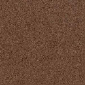 V509 Pecan by Charlotte Designer Fabric