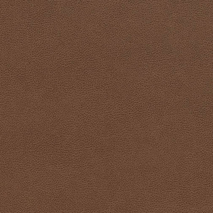 V509 Pecan by Charlotte Designer Fabric Breathables IV 100% Breathable Polyurethane, 26oz. Asia Exceeds 2,000,000 Wyzenbeek Double Rubs (Heavy Duty) </p><p>Repeat: 54 Inches - Swanky Fabrics -