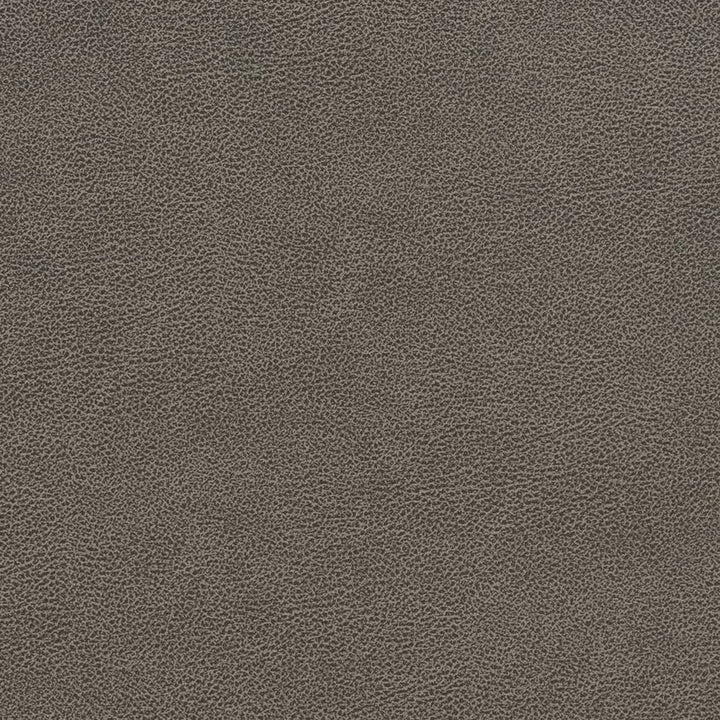 V510 Storm by Charlotte Designer Fabric Breathables IV 100% Breathable Polyurethane, 26oz. Asia Exceeds 2,000,000 Wyzenbeek Double Rubs (Heavy Duty) </p><p>Repeat: 54 Inches - Swanky Fabrics -