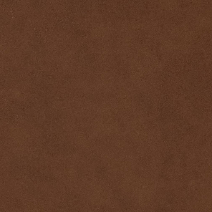 V515 Sepia by Charlotte Designer Fabric Breathables IV 100% Breathable Polyurethane, 26oz. Asia Exceeds 2,000,000 Wyzenbeek Double Rubs (Heavy Duty) </p><p>Repeat: 54 Inches - Swanky Fabrics -