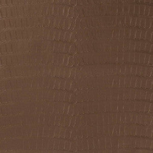 V591 Chocolate by Charlotte Designer Fabric