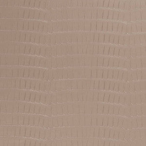 V593 Mousse by Charlotte Designer Fabric